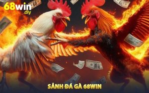 Sảnh đá gà 68win